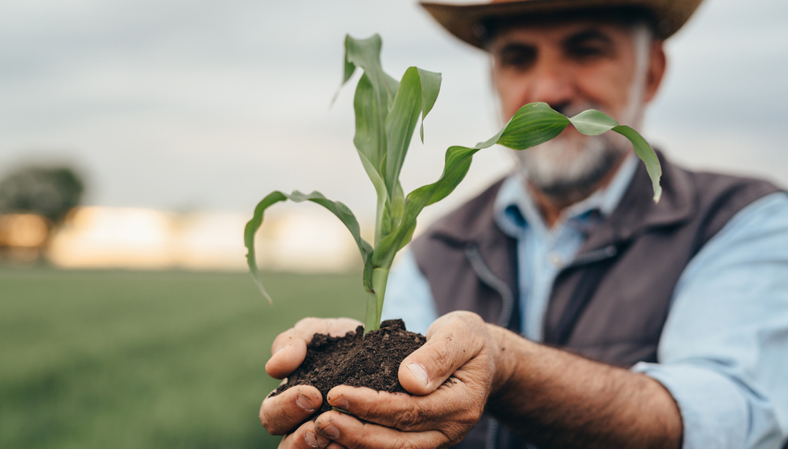 Crescimento das cooperativas agrícolas em Palmas é tema de projeto de pesquisa Crescimento das cooperativas agrícolas em Palmas é tema de projeto de pesquisa