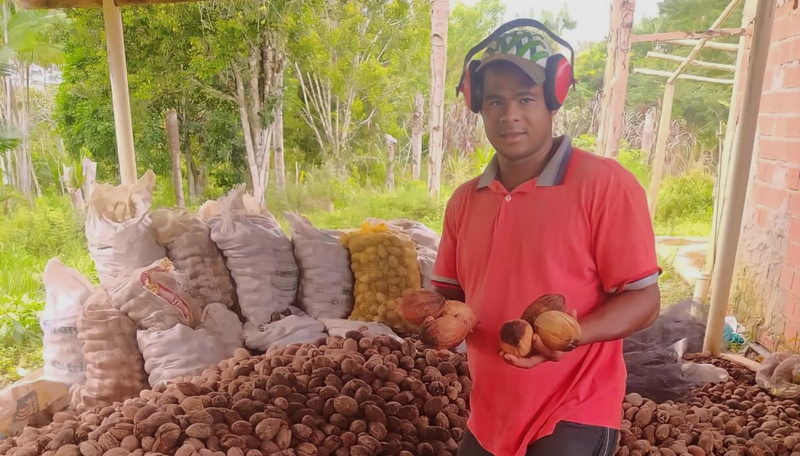 Cooperativa da agricultura familiar exporta 228 toneladas de coco de piaçava para o Egito Cooperativa da agricultura familiar exporta 228 toneladas de coco de piaçava para o Egito
