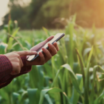 Capal ganha agilidade nas vendas com digitalização das lojas da cooperativa 