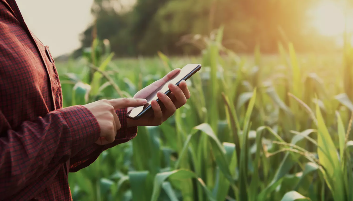 Capal ganha agilidade nas vendas com digitalização das lojas da cooperativa  Capal ganha agilidade nas vendas com digitalização das lojas da cooperativa