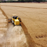 Linhas de crédito alternativas ao Safra são oferecidas durante a Agrishow 2023