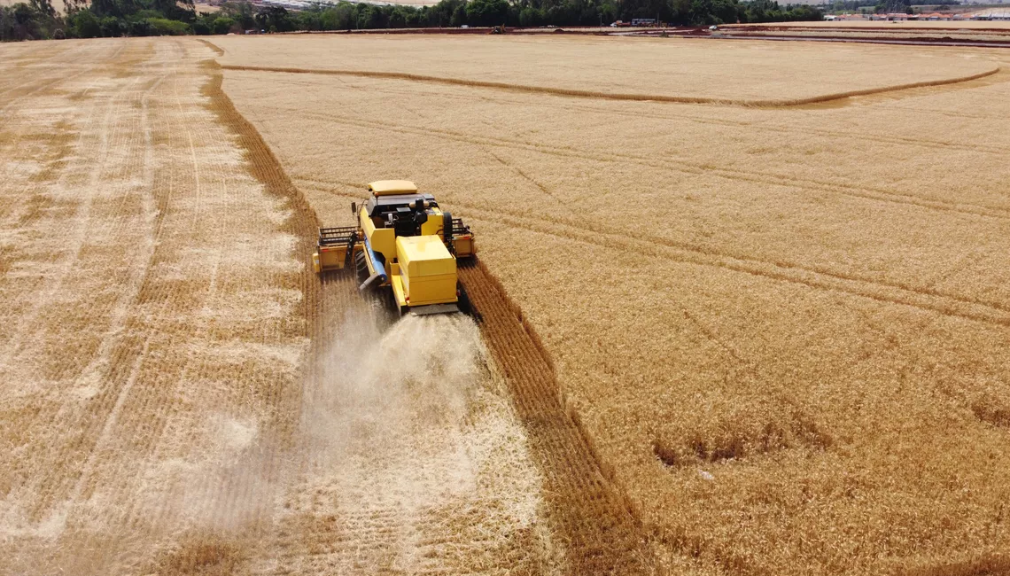 Linhas de crédito alternativas ao Safra são oferecidas durante a Agrishow 2023 Linhas de crédito alternativas ao Safra são oferecidas durante a Agrishow 2023