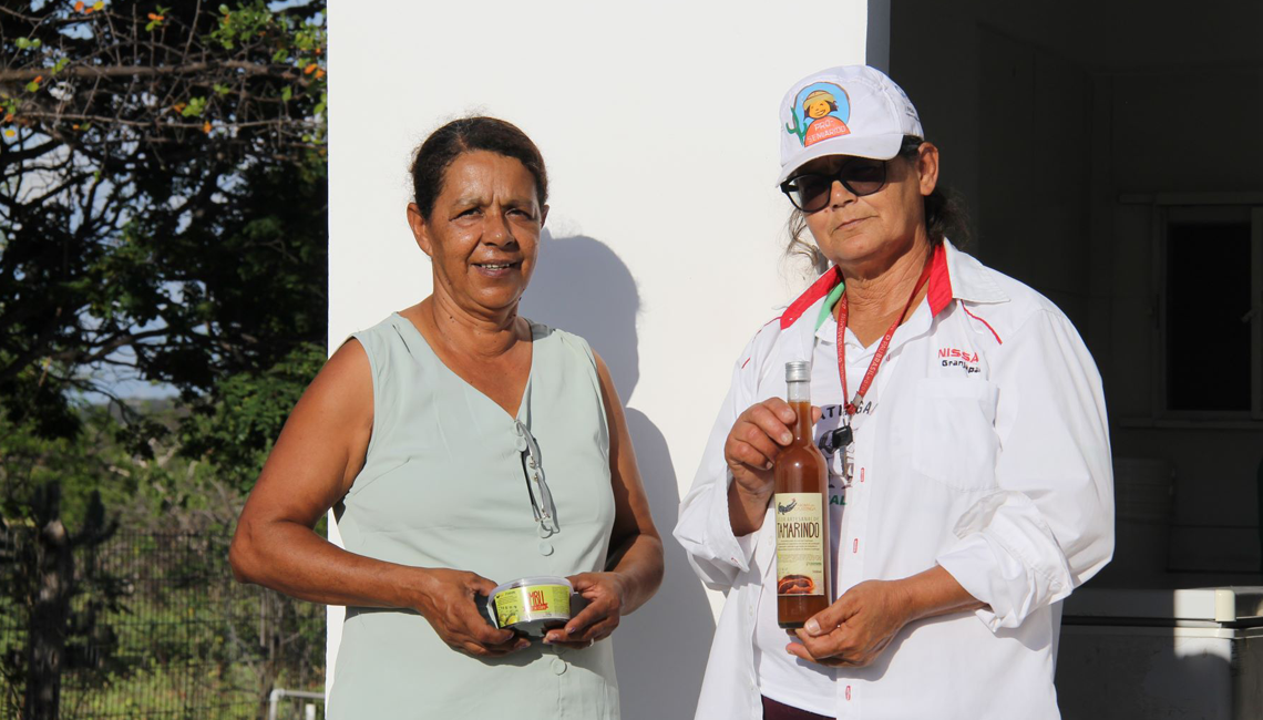 Cooperativas preservam umbuzeiros da Caatinga e geram renda no Semiárido Cooperativas preservam umbuzeiros da Caatinga e geram renda no Semiárido