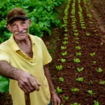 Mogi cria programa para incentivar o pequeno agricultor e cooperativas