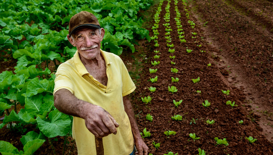 Mogi cria programa para incentivar o pequeno agricultor e cooperativas Mogi cria programa para incentivar o pequeno agricultor e cooperativas