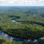 Brasil está em posição de vantagem para superar mudanças climáticas, diz Banco Mundial
