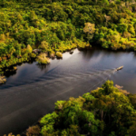 Bioeconomia no Brasil pode gerar US$ 284 bi ao ano e fortalecer cooperativas