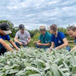 Aprovado funcionamento de Cooperativas-Escolas nos colégios agrícolas do Paraná