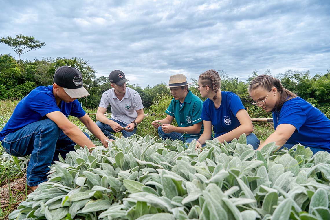 Aprovado funcionamento de Cooperativas-Escolas nos colégios agrícolas do Paraná Aprovado funcionamento de Cooperativas-Escolas nos colégios agrícolas do Paraná