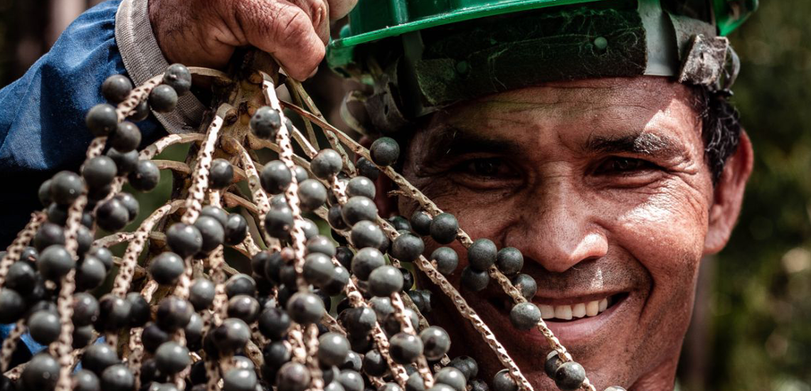 Aposta nas cooperativas pode alavancar o Brasil como potência de bioeconomia Aposta nas cooperativas pode alavancar o Brasil como potência de bioeconomia