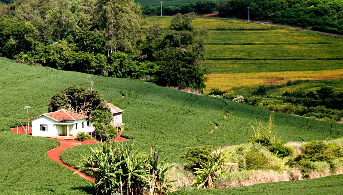 Créditos de carbono podem ser utilizados para compra de imóvel rural Créditos de carbono podem ser utilizados para compra de imóvel rural