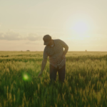 Cooperativa expande negócios e investe em inovação para atender mais famílias