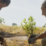 Cooperativas reforçam ações ESG e são referência para o mercado nacional