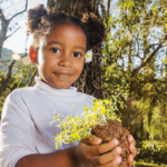 Cooperativas de crédito podem ajudar brasileiros a ter resiliência financeira Cooperativa abre inscrições para banco de projetos via leis de incentivo