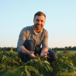 Projeto do governo amplia participação de cooperativas no mercado de seguros agrícolas