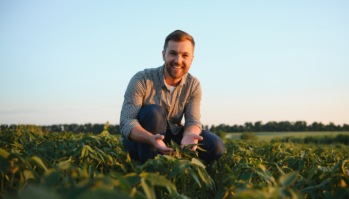 Projeto do governo amplia participação de cooperativas no mercado de seguros agrícolas Projeto do governo amplia participação de cooperativas no mercado de seguros agrícolas