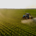 Cooperativas pedem redução de juros e mais recursos para o Plano Safra