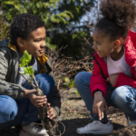 Cooperativa beneficia o meio ambiente com várias iniciativas de sustentabilidade
