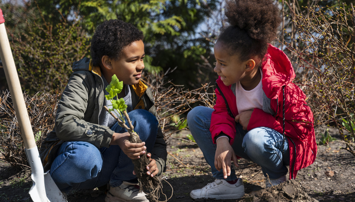 Cooperativa beneficia o meio ambiente com várias iniciativas de sustentabilidade