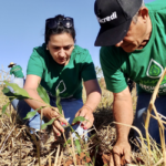Cooperativa inclui sustentabilidade na estratégia de gestão