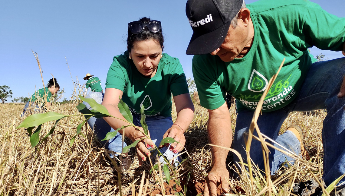 Cooperativa inclui sustentabilidade na estratégia de gestão Cooperativa inclui sustentabilidade na estratégia de gestão