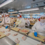 Cooperativas se unem em nova estratégia de intercooperação