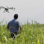 Cooperativa lança programa para aprimorar atendimento aos cooperados 7 profissões que aliam tecnologia e agronegócio