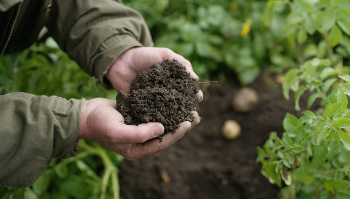 Cooperativismo participa do lançamento da consulta pública do Programa Carbono + Verde