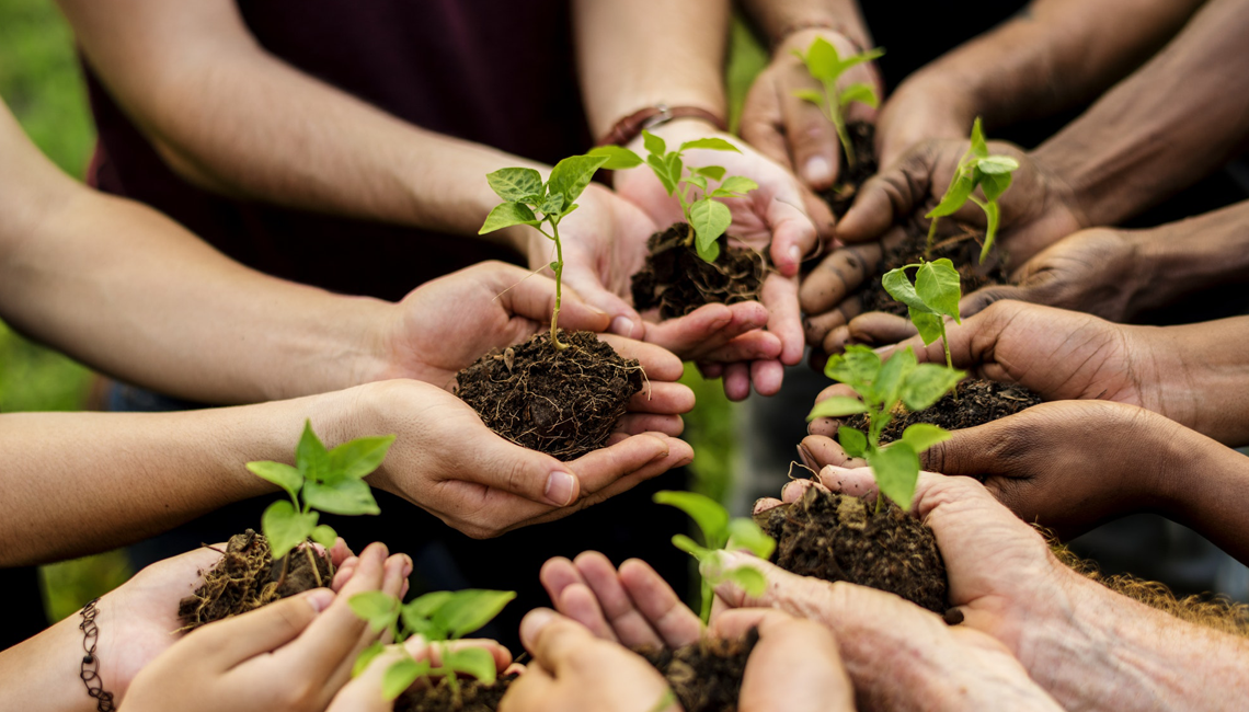 Cooperativismo participa de audiência sobre o novo Marco Legal do Licenciamento Ambiental Cooperativismo participa de audiência sobre o novo Marco Legal do Licenciamento Ambiental