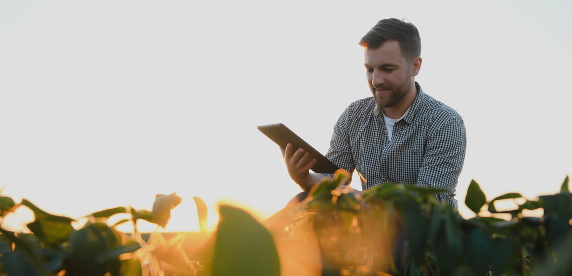 Cooperativas defendem plataforma digital para contratação de crédito rural Instituições financeiras defendem plataforma digital para contratação de crédito rural
