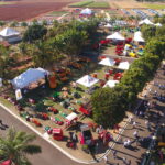 Elas Pelo Coop discute formas de aumentar representatividade feminina Coopercitrus Expo 2023 reúne tendências e oportunidades para o produtor rural