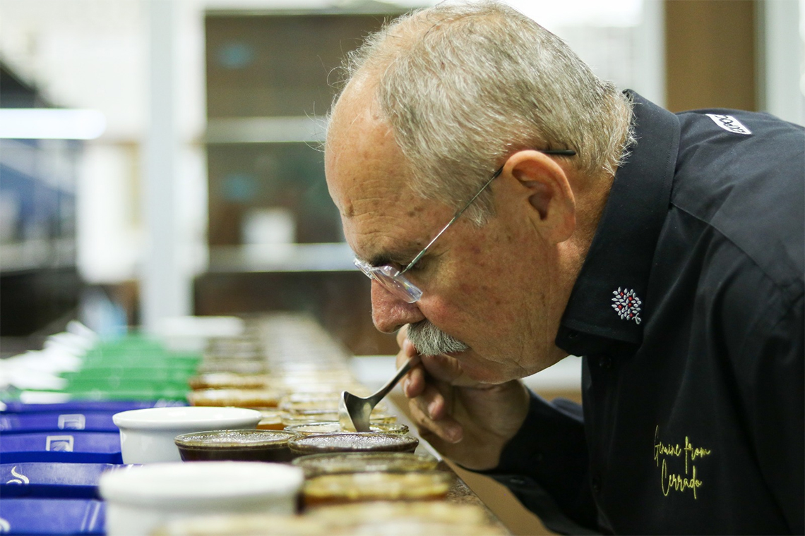 Cooperativa revela avanços em sustentabilidade em Relatório