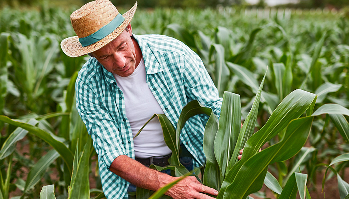Cooperativa impulsiona o agronegócio brasileiro com soluções financeiras sustentáveis Cooperativa impulsiona o agronegócio brasileiro com soluções financeiras sustentáveis