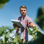 Cooperativas pedem mudanças nas regras de acesso à linhas de financiamento do Pronaf