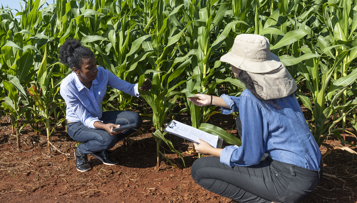 Mapa e Apex-Brasil conhecem detalhes do Programa de Negócios Coop Mapa e Apex-Brasil conhecem detalhes do Programa de Negócios Coop