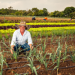 Cooperativismo mantém elos que sustentam o setor primário