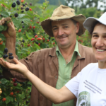Protagonistas da Transformação: histórias de cooperados que apostam na produção orgânica