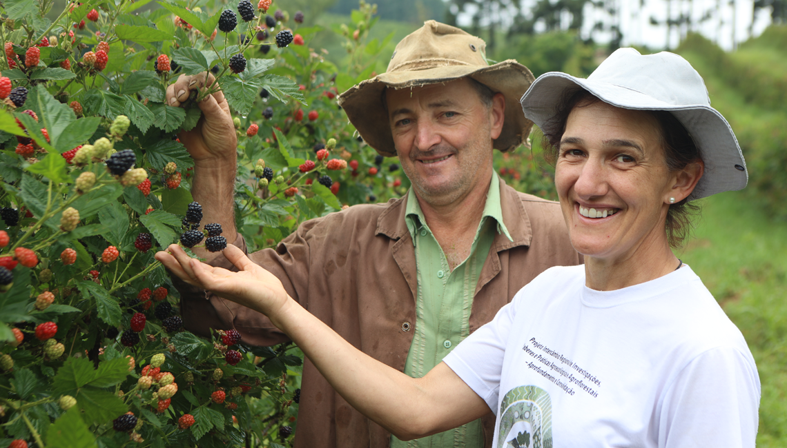 Cooperativa compartilha histórias de cooperados que apostam na produção sustentável Protagonistas da Transformação: histórias de cooperados que apostam na produção orgânica