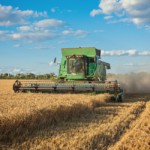 5 maneiras de investir no agronegócio