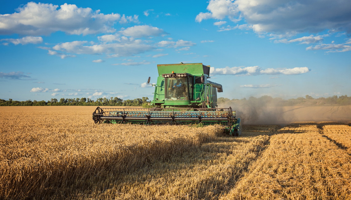 5 maneiras de investir no agronegócio 5 maneiras de investir no agronegócio