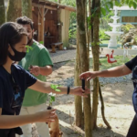 Projeto promove consciência ambiental em Santa Catarina