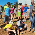 Projeto escolar envolver temas como sustentabilidade e cooperativismo em Marcelino Ramos