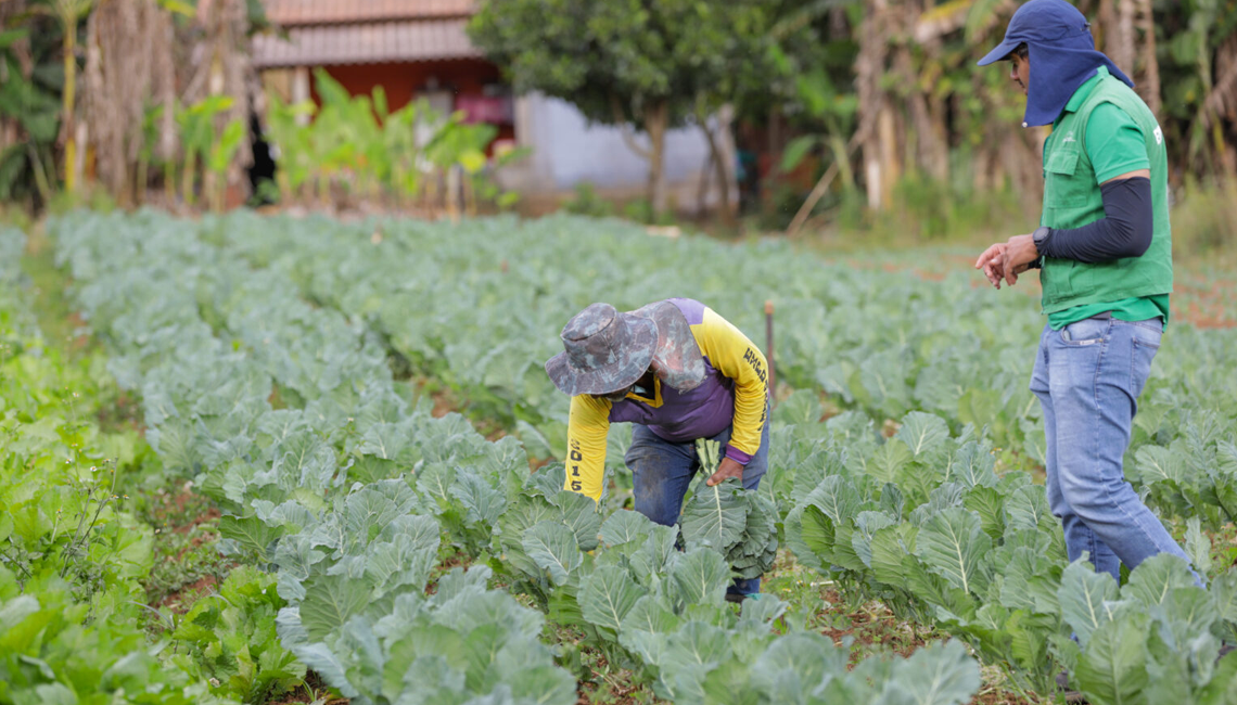 Cooperativa firma parceria em Programa de Sustentabilidade Ambiental e Saneamento Rural