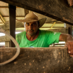 65% dos agricultores do Paraná são associados a cooperativas