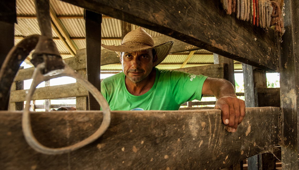 65% dos agricultores do Paraná são associados a cooperativas