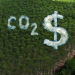 Governo conclui proposta de regulamentação do mercado de carbono e espera aprovação até a COP-30