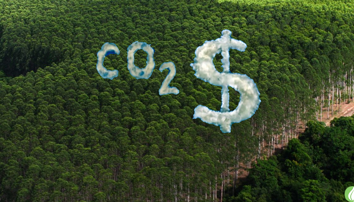 Governo conclui proposta de regulamentação do mercado de carbono e espera aprovação até a COP-30