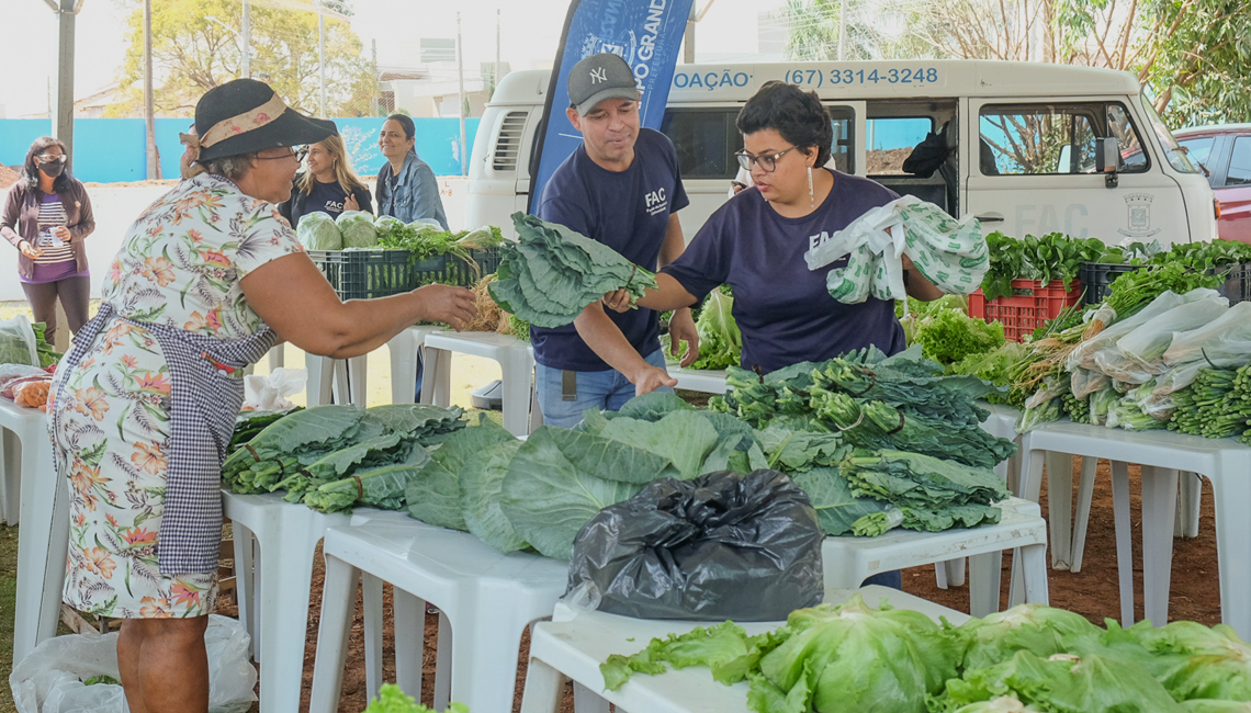Cooperativa de agricultura urbana chega a 100 associados