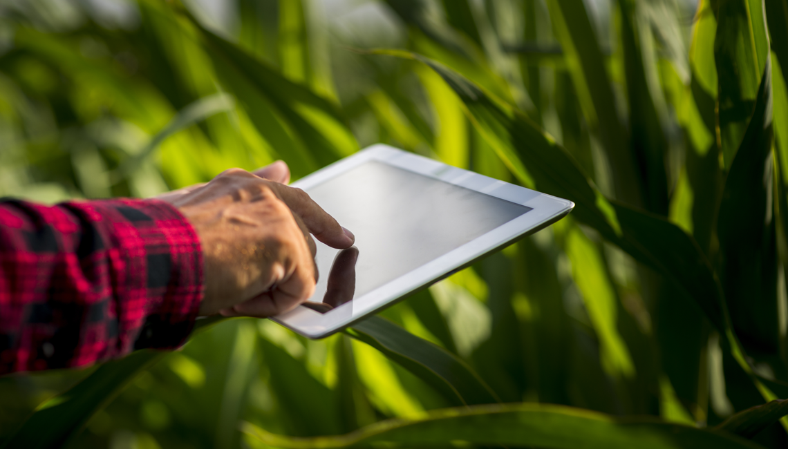 Tudo o que o agro precisa a um clique Tudo o que o agro precisa a um clique