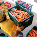 Cooperativas vão continuar a contribuir com o Programa de Aquisição de Alimentos